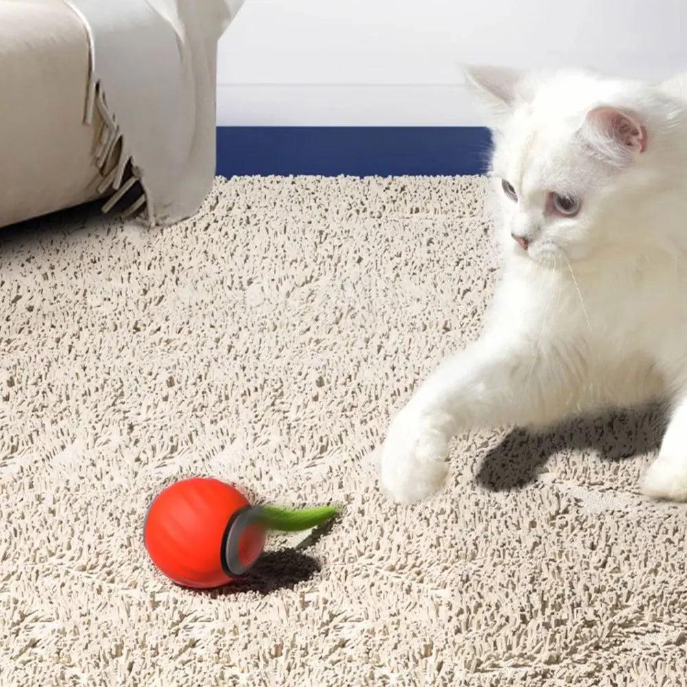 Automatic Moving Cat Toy Ball, USB Rechargeable Speedy Tail Interactive Ball