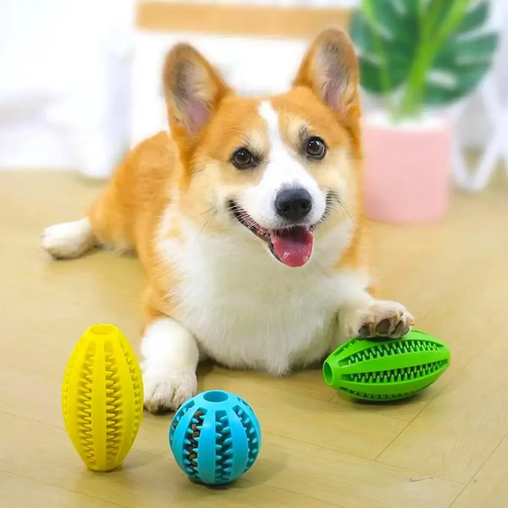 Pet Dog Chew Toys Teeth Cleaning Snack Ball Natural Rubber Super Tough Interactive Bouncy