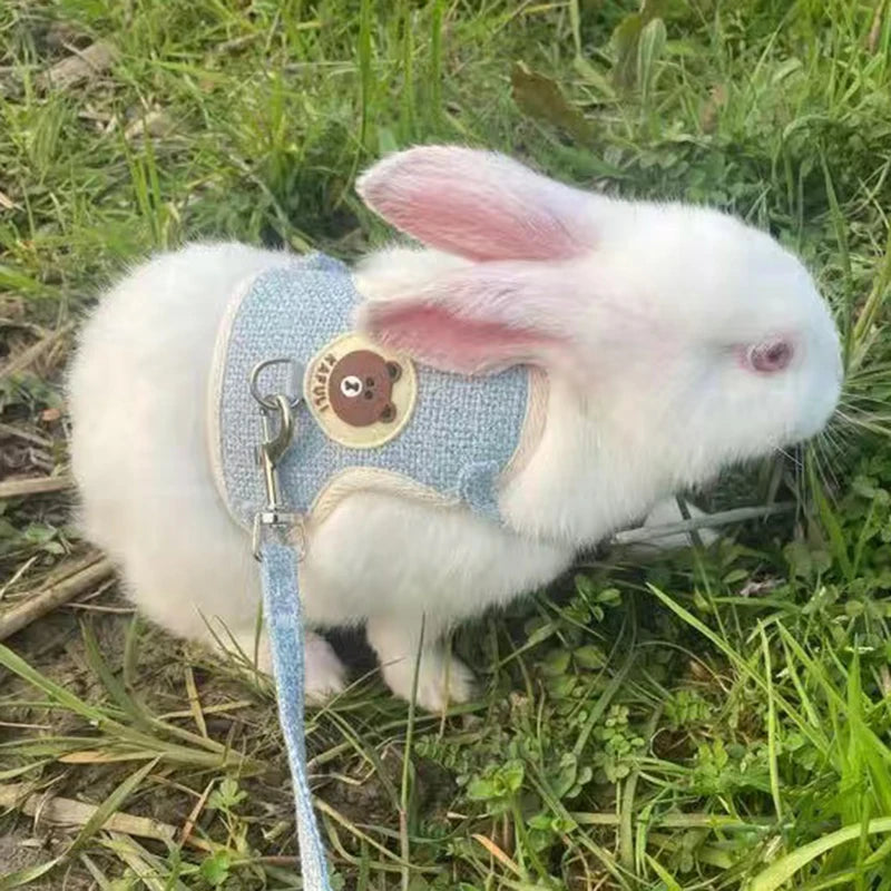 Cute Rabbit Harness and Leash Set for Outdoor Walking