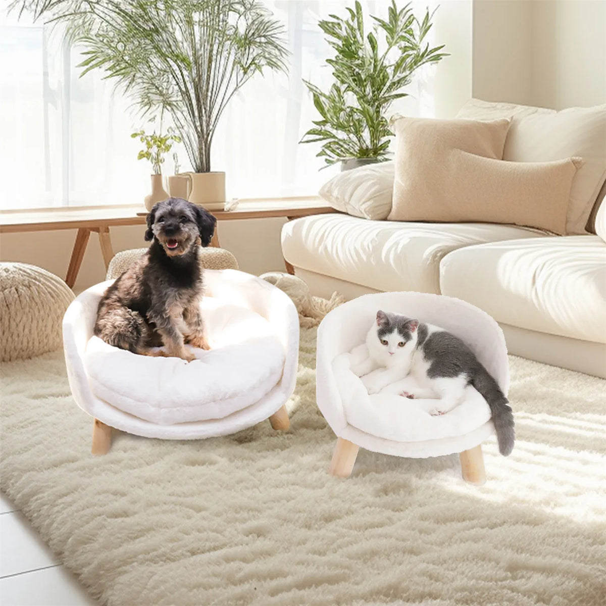 Pet Sofa Bed Raised Cat Chair Small Dog Couch Bed Removable Cushion