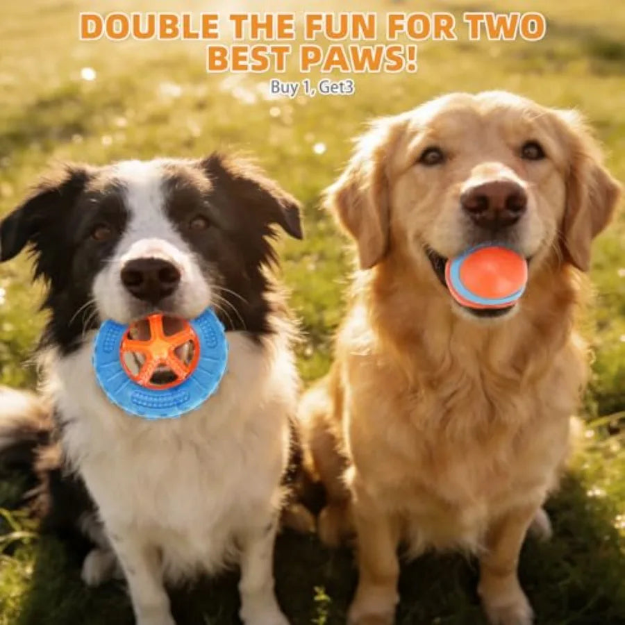 Floating Dog Toys, 3 Pack TPR Water Pool Fetching Toy with Durable Rope for Small Medium Large Dogs, Bright Bumper Interactive
