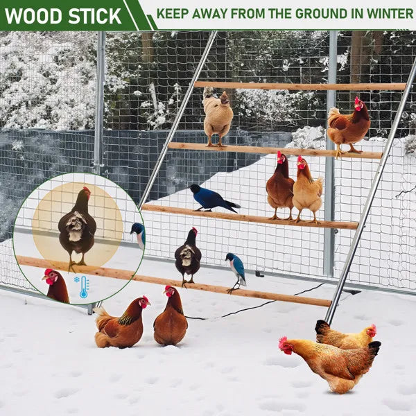 Outdoor Chicken Perch - Multi-Tiered Tower for Chickens, Round Design for Safety