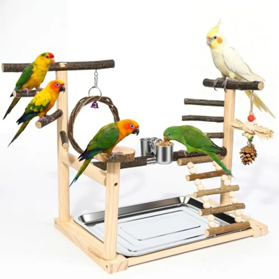 Bird Playground, Parrot Stand with Feeding Cup, Swing, Chew Toys, Removable Tray, Suitable for Small to Medium Birds