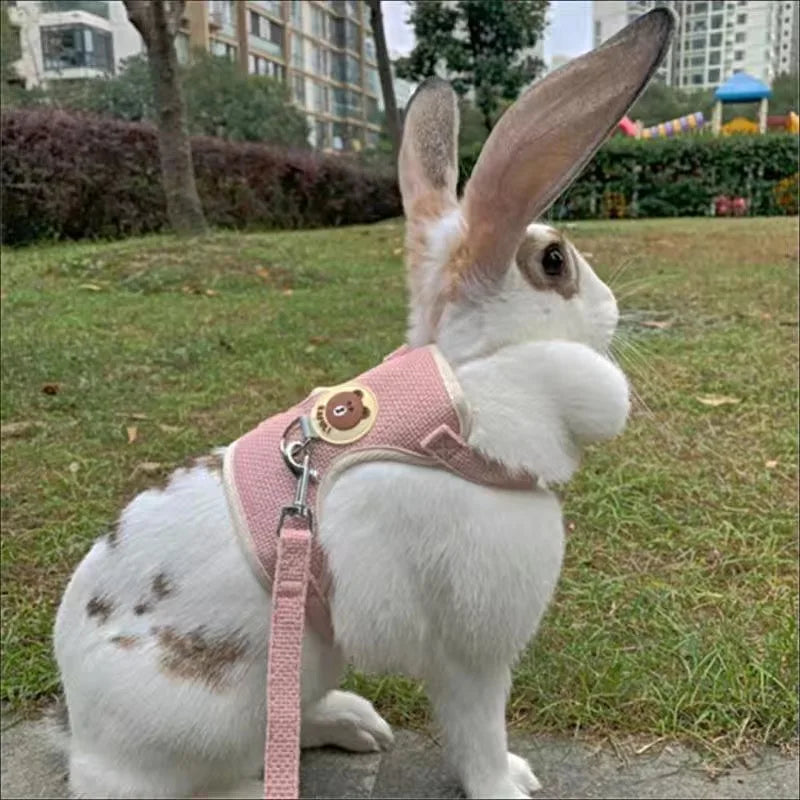 Cute Rabbit Harness and Leash Set for Outdoor Walking